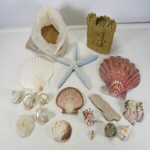 Collection of Sea Shells, Sand Castle, Blue Starfish & drift wood w bag of sand